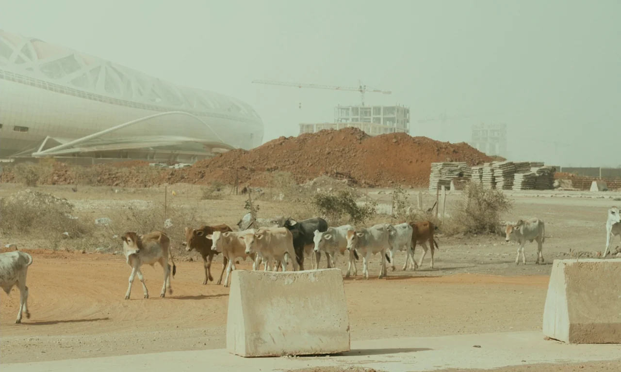 Atlantics (2019) movie still: wide — A dusty lot sits in front of an unfinished large modern building structure. A herd of cattle traverses the…