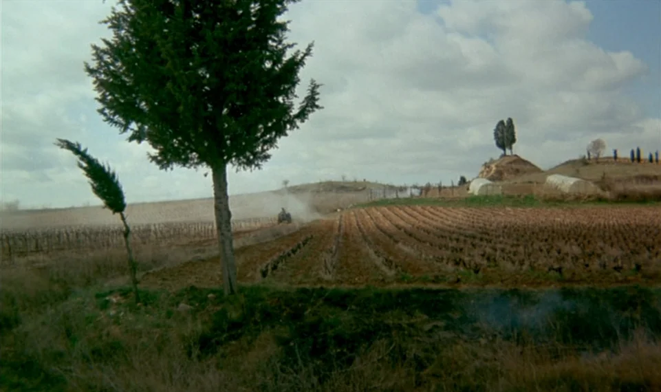 Vagabond (1985) movie still: wide — A rural landscape features rows of dormant vines stretching across brown, tilled earth. A distant tractor…