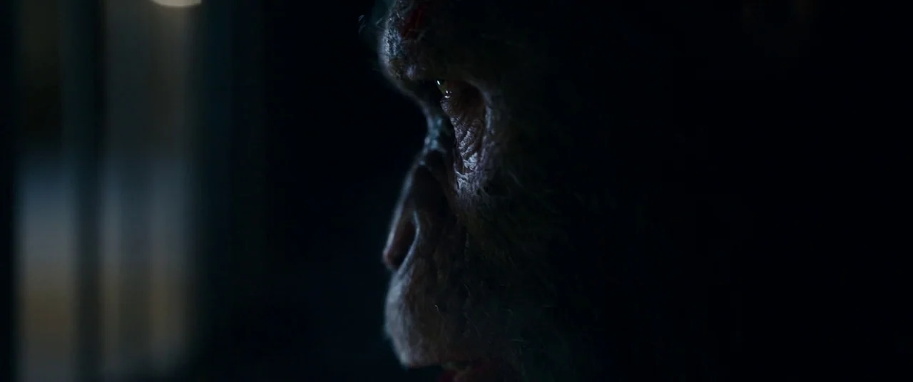 War for the Planet of the Apes (2017) movie still: closeup — A dark, dimly lit environment provides very little visual information about the…