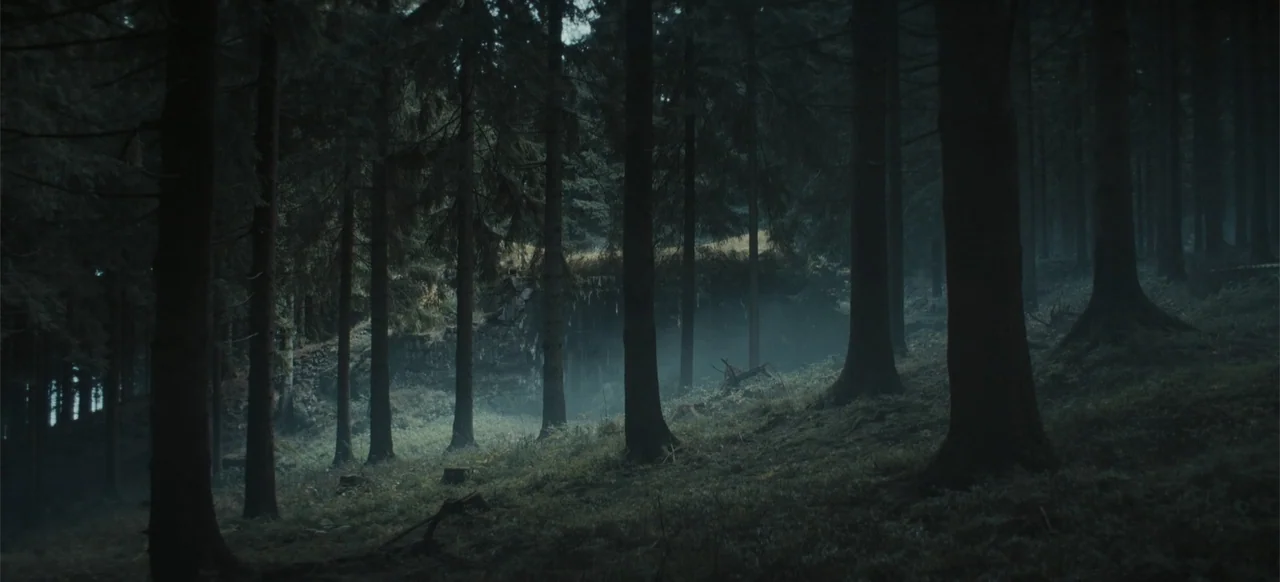 The Tank (2025) movie still: wide — A dense stand of tall spruce trees occupies a dimly lit, mist-covered forest slope. No human figures are present…
