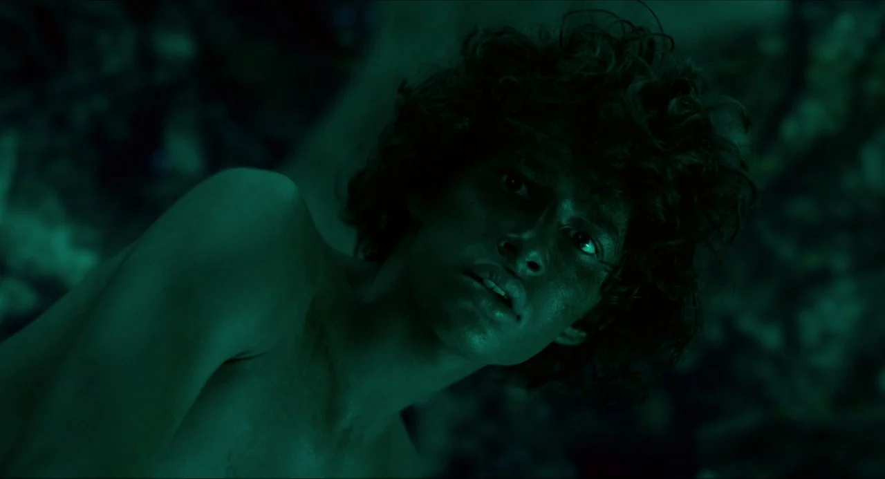 Life of Pi (2012) movie still: closeup — A dark, densely vegetated environment obscured by deep shadows and dim green lighting. A young man with…