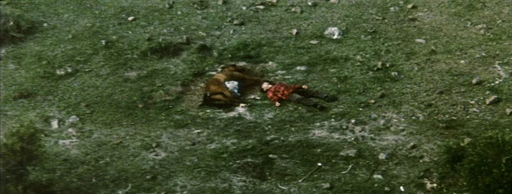 Japón (2002) movie still: establishing — An open field of sparse green grass and rocky patches. A person in a red shirt lies beside a dark animal…