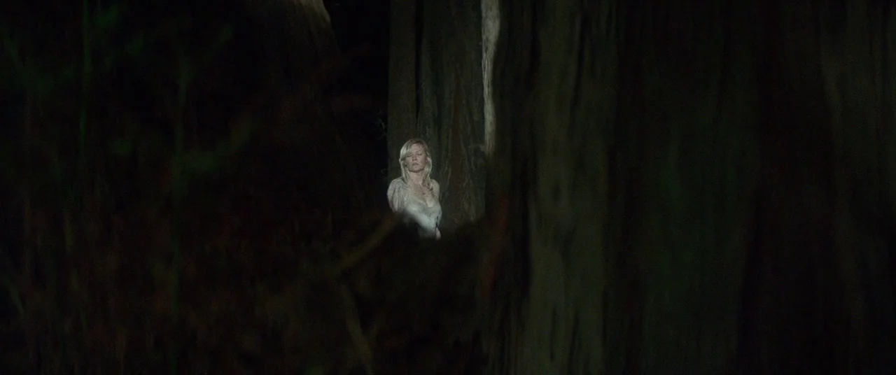 Woodshock (2017) movie still: wide — A woman stands in a dark, densely wooded area at night. She is positioned between two large, shadowy tree…