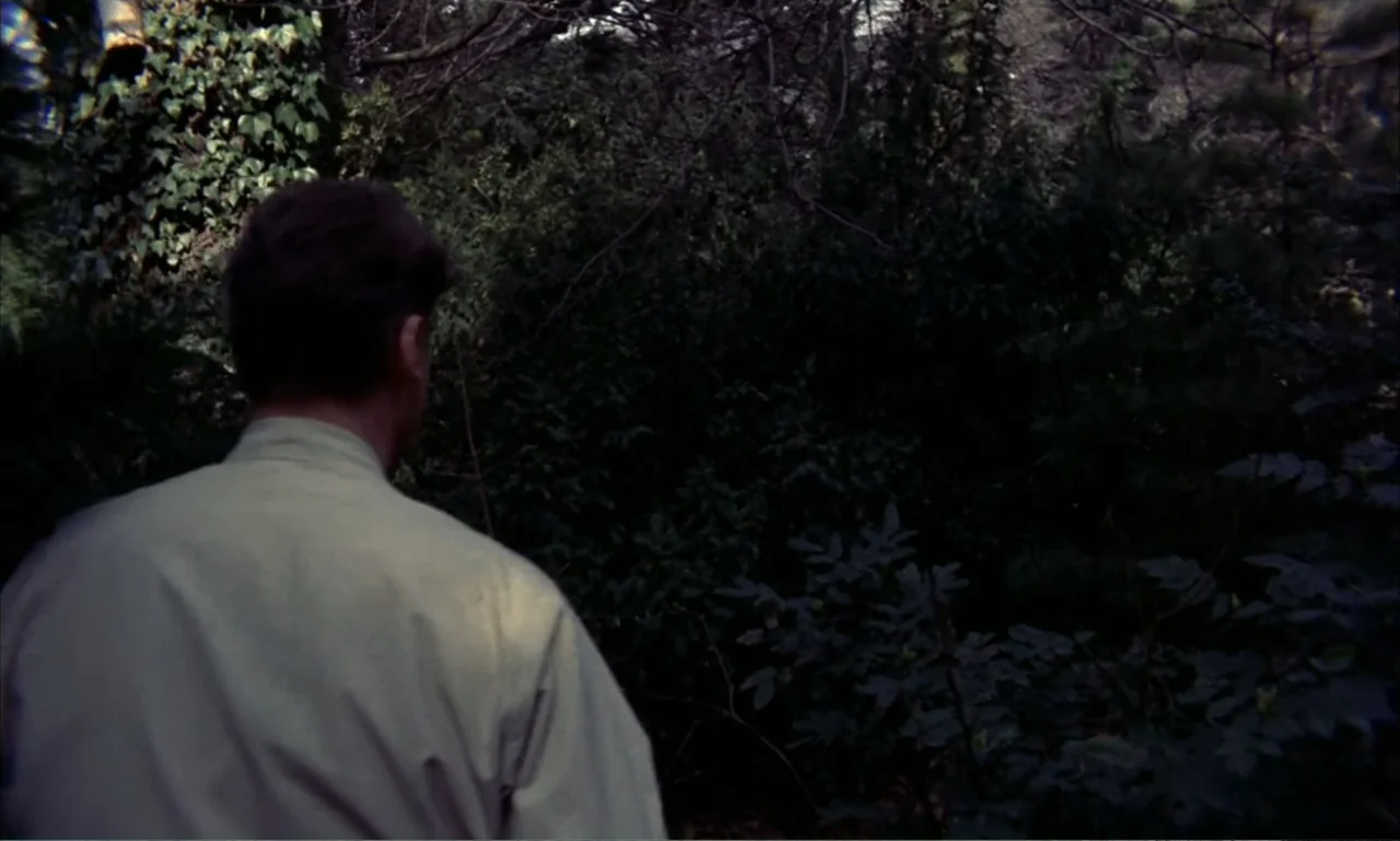 Journey to the Seventh Planet (1962) movie still: medium — A dense patch of dark green woods with thick overhead tree canopy. A man in a beige shirt…