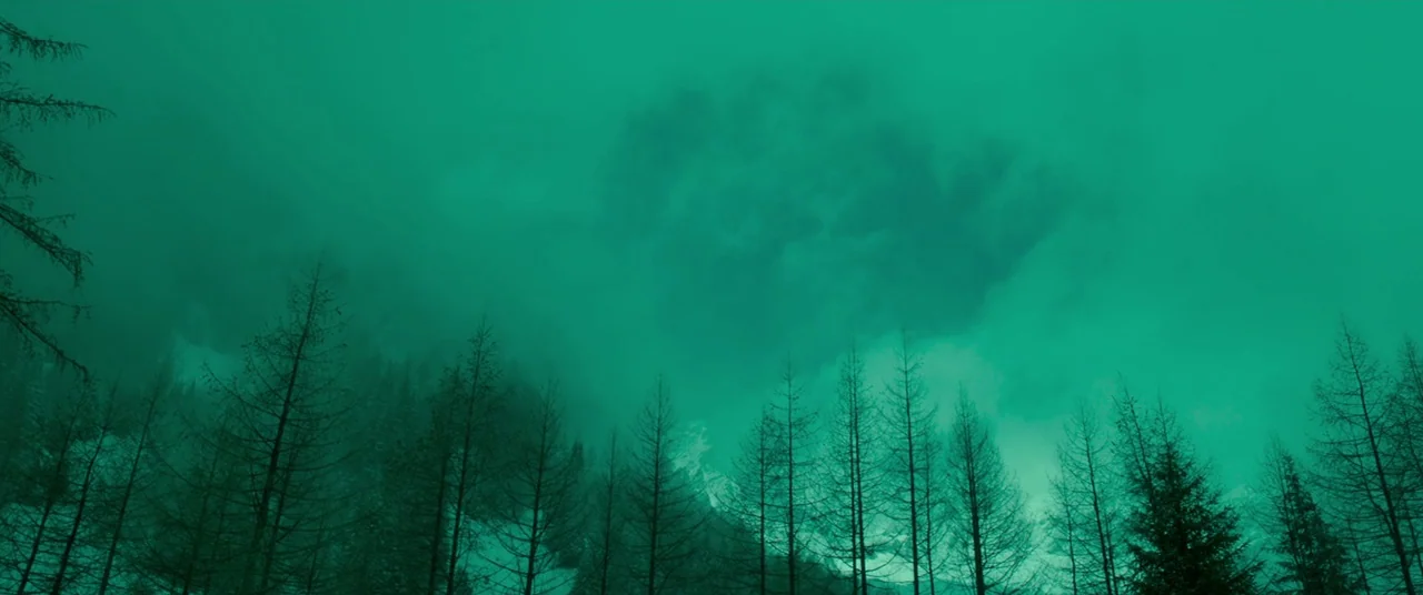 Siberia (2019) movie still: establishing — A dense grove of evergreen trees stands against a vast, overcast mountainous horizon. Wispy fog drifts…