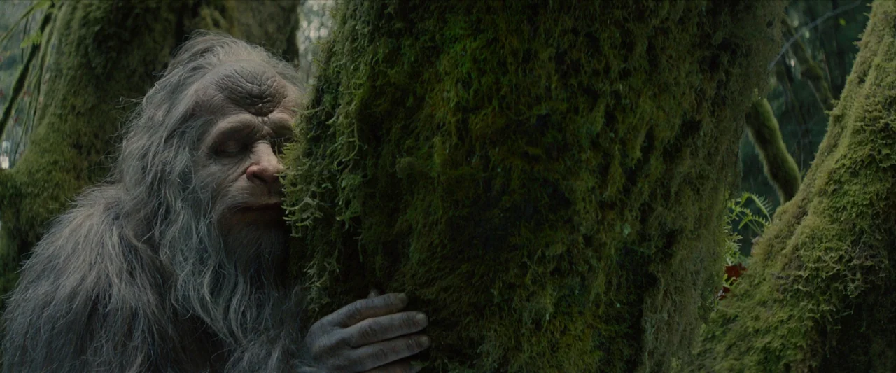Sasquatch Sunset (2024) movie still: medium — A dense woodland environment features large, moss-covered tree trunks in a temperate climate. A…