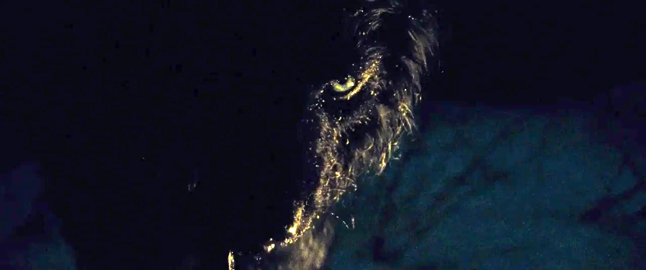 The Grey (2012) movie still: closeup — A dark, textured wolf face emerges from blackness in a nighttime setting. The wolf looks forward while the…