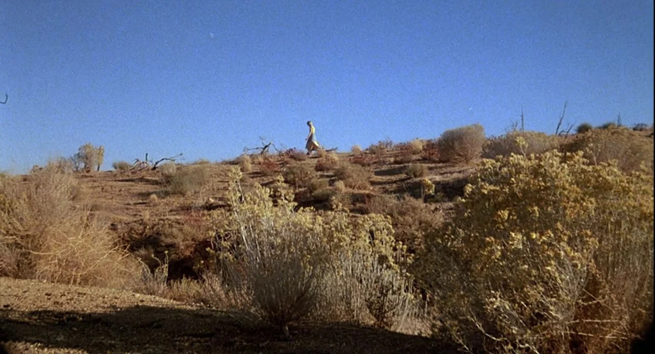 Psycho III (1986) movie still: wide — A vast arid landscape with low rolling hills covered in sparse desert scrub vegetation. A solitary woman in a…