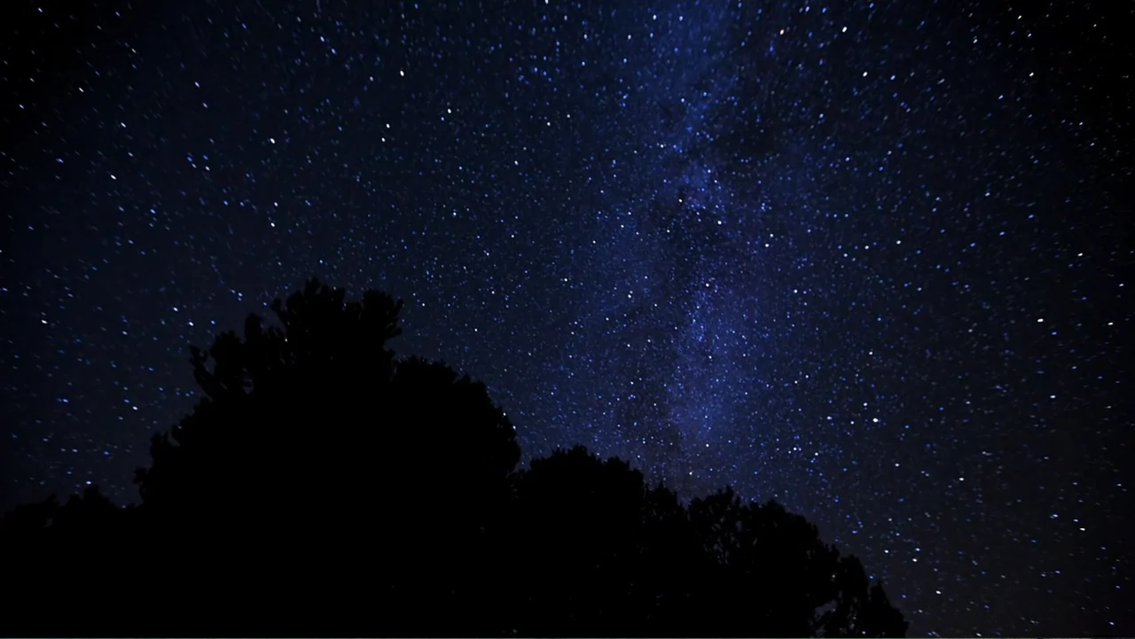 Idaho: The Movie (2012) movie still: establishing — A vast night sky filled with countless stars stretches over dark tree silhouettes. The celestial…