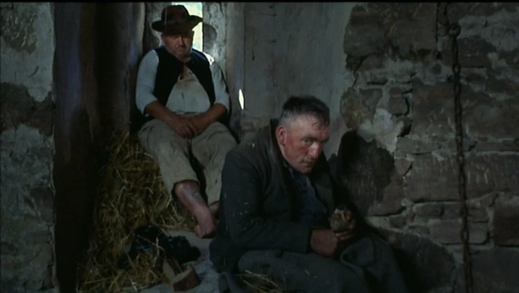 The Enigma Of Kaspar Hauser (1974) movie still: medium — A dimly lit room built from coarse, uneven stone blocks with straw on the floor. Two men…