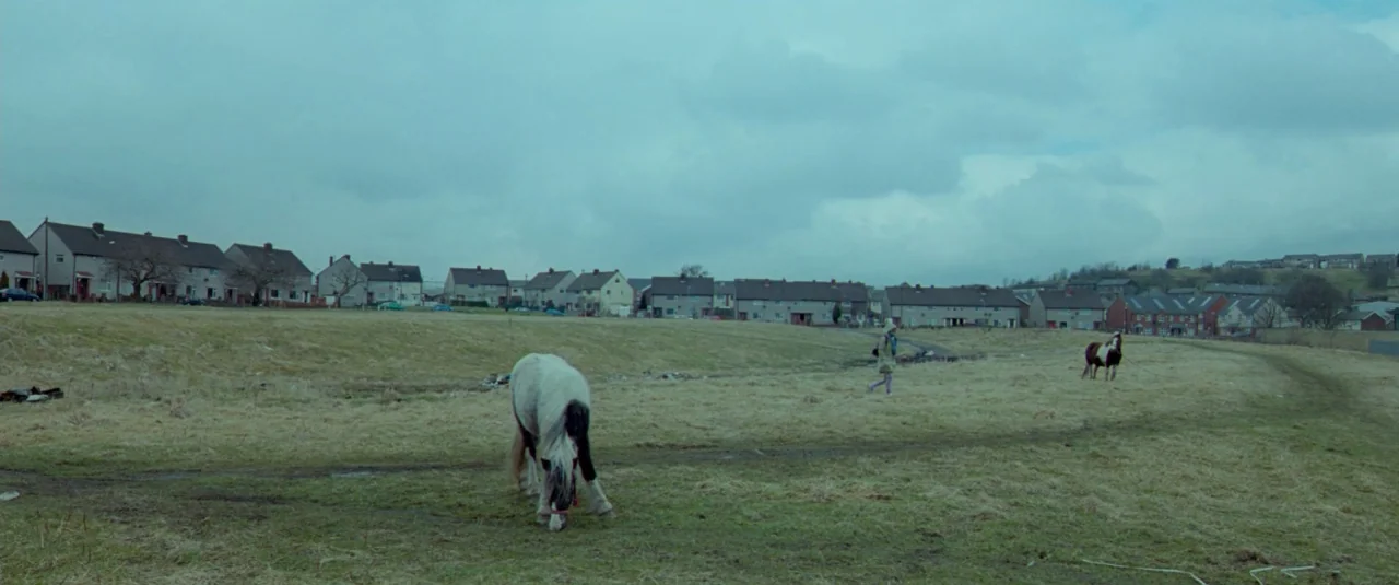Catch Me Daddy (2014) movie still: wide — A wide, grassy expanse sits between a residential suburban housing development and the viewer. A small…