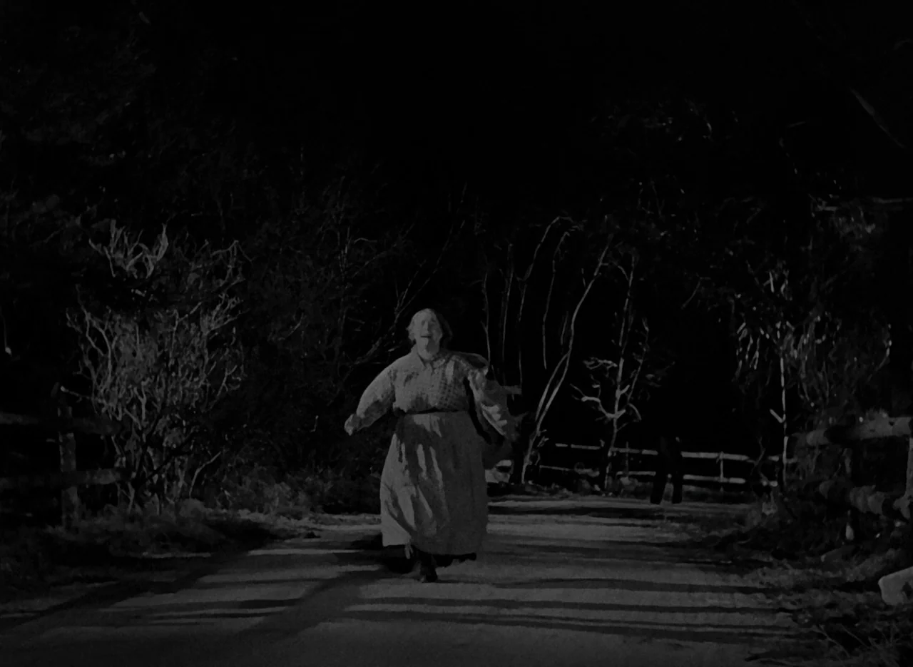 The Invisible Man (1933) (1933) movie still: fullbody — A dark rural road is bordered by dense trees and a wooden fence. An elderly woman runs…