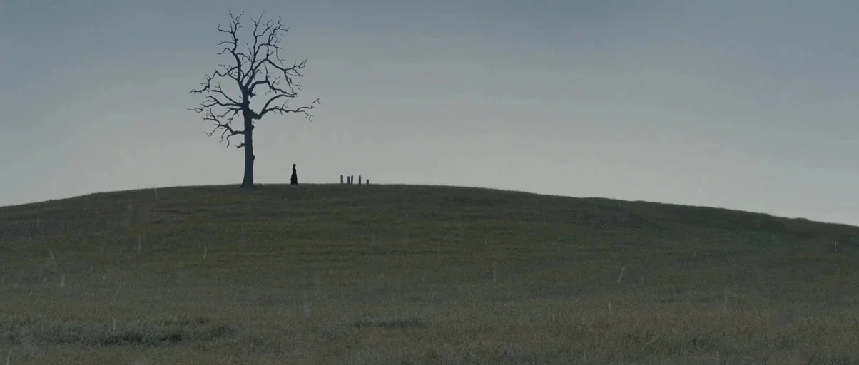 True Grit (2010) movie still: establishing — A vast, empty field leads up to a gentle hill under an overcast sky. A leafless tree stands at the…