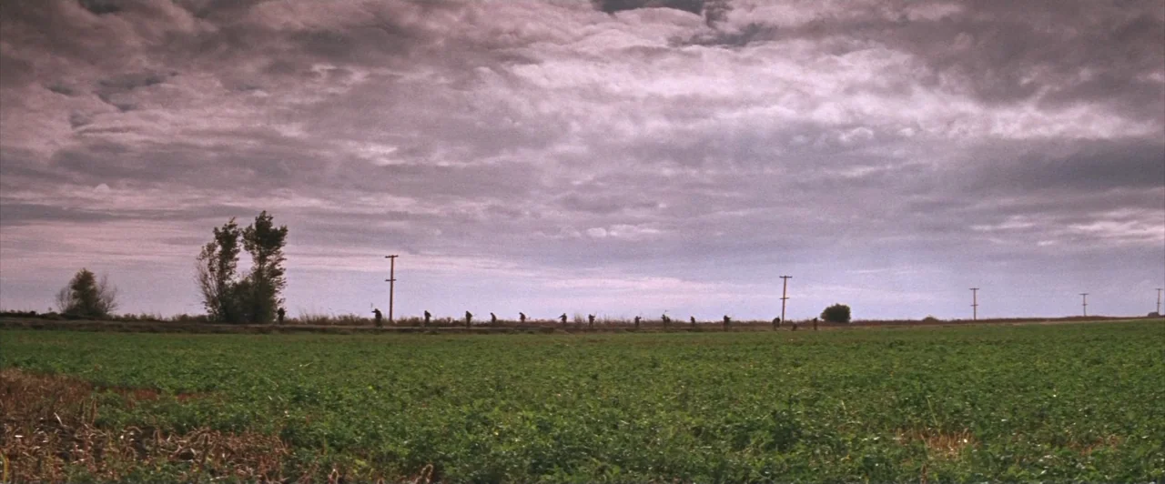 Cool Hand Luke (1967) movie still: wide — A vast, flat agricultural field stretches toward a distant, low ridgeline under heavy clouds. A long, thin…