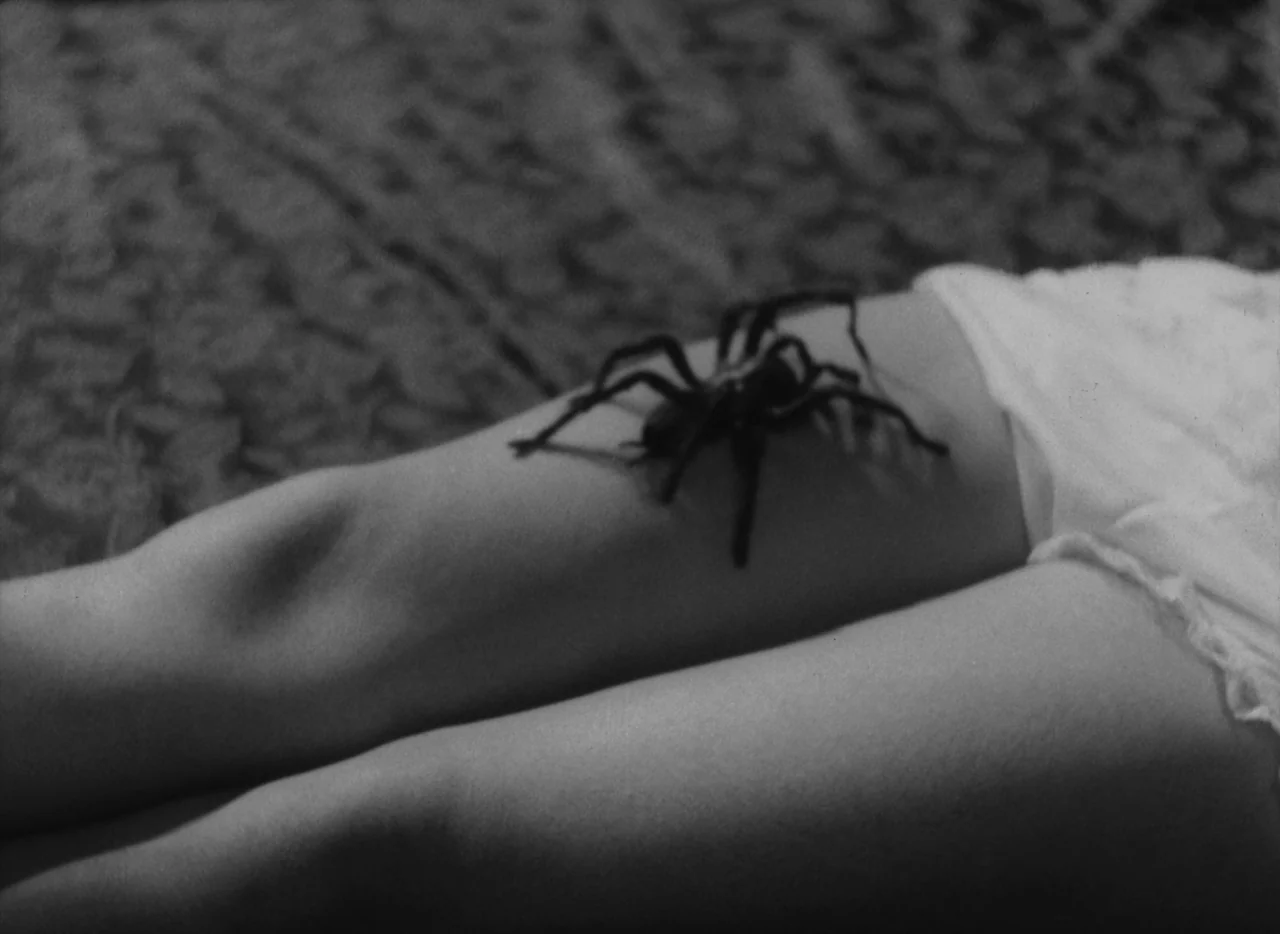At Midnight I’ll Take Your Soul (1964) movie still: closeup — A dark spider sits on the skin of a human leg resting on fabric. The leg is positioned…