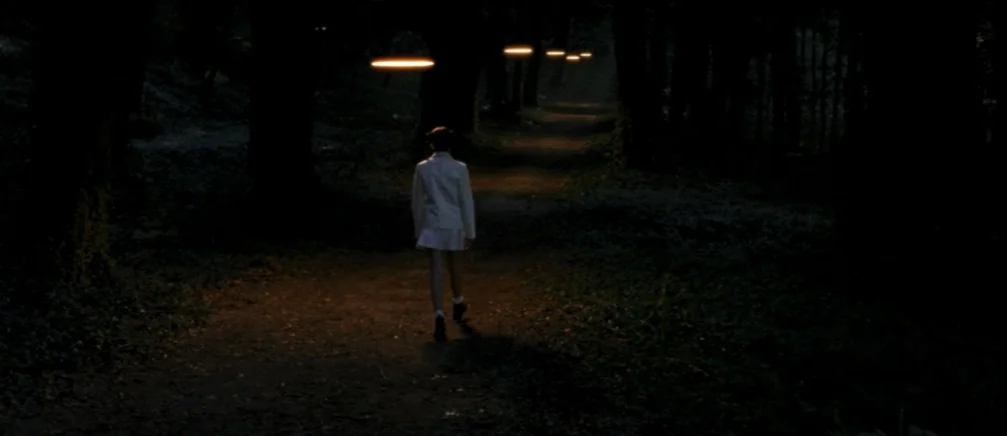 Innocence (2005) movie still: fullbody — A dark, wooded trail is illuminated by a series of glowing orange ring lights. A person in a white outfit…