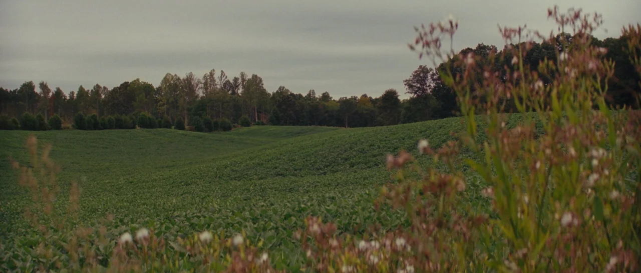 Loving (2016) movie still: establishing — A vast, rolling agricultural field extends toward a dense line of trees. The sky is overcast with a flat,…