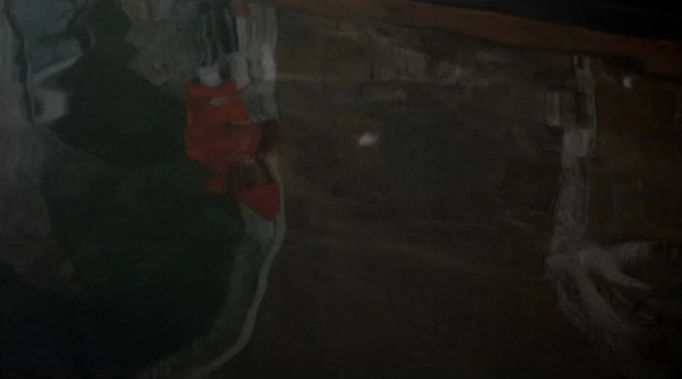 Don’t Look Now (1973) movie still: establishing — The dark, murky surface of a body of water reflects faint lights from above. Ripples distort the…