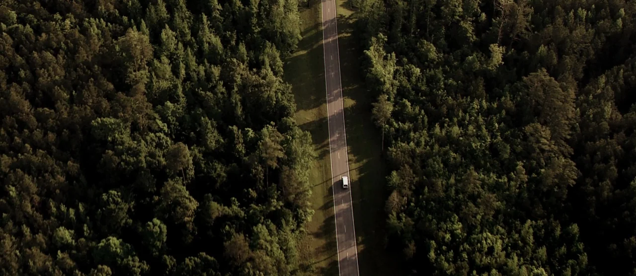 Self/less (2015) movie still: establishing — A long straight asphalt road cuts through a dense forest of coniferous trees. A small white car travels…