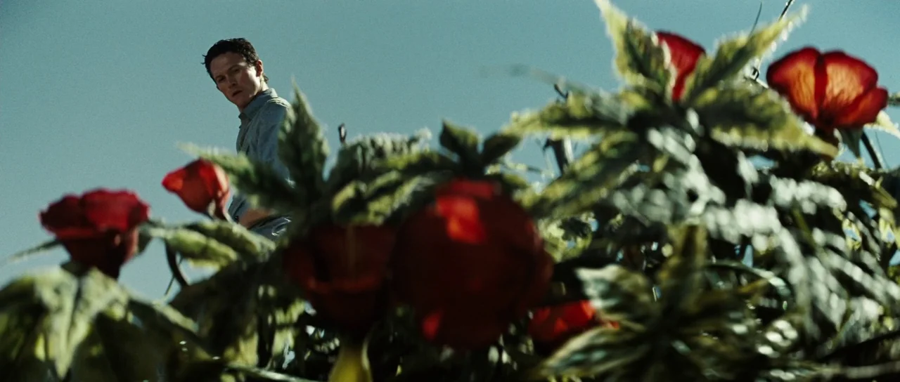 The Ruins (2008) movie still: medium — A field filled with vibrant red flowers stands in the foreground under blue skies. A man in a grey shirt…