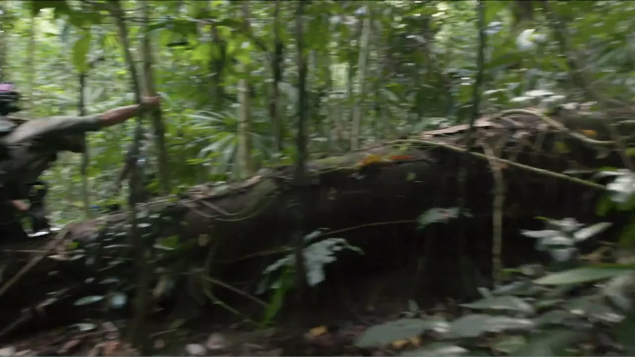 Finding Amelia (2024) movie still: medium — A dense rainforest floor features a massive fallen log surrounded by lush vegetation. A person dressed…