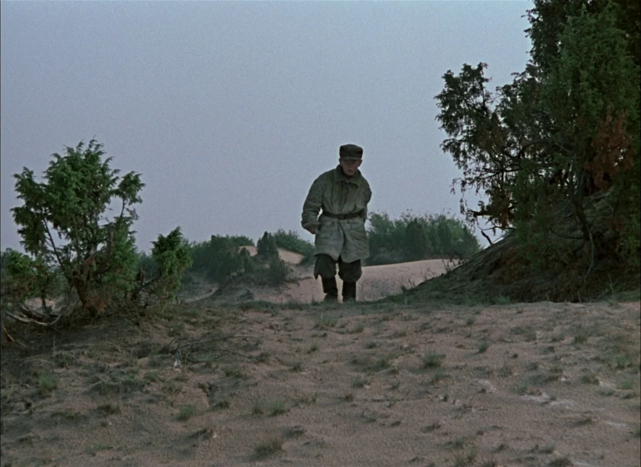 Come and See (1985) movie still: fullbody — A sparsely vegetated sandy dune landscape with small shrubs under an overcast sky. A young boy in…