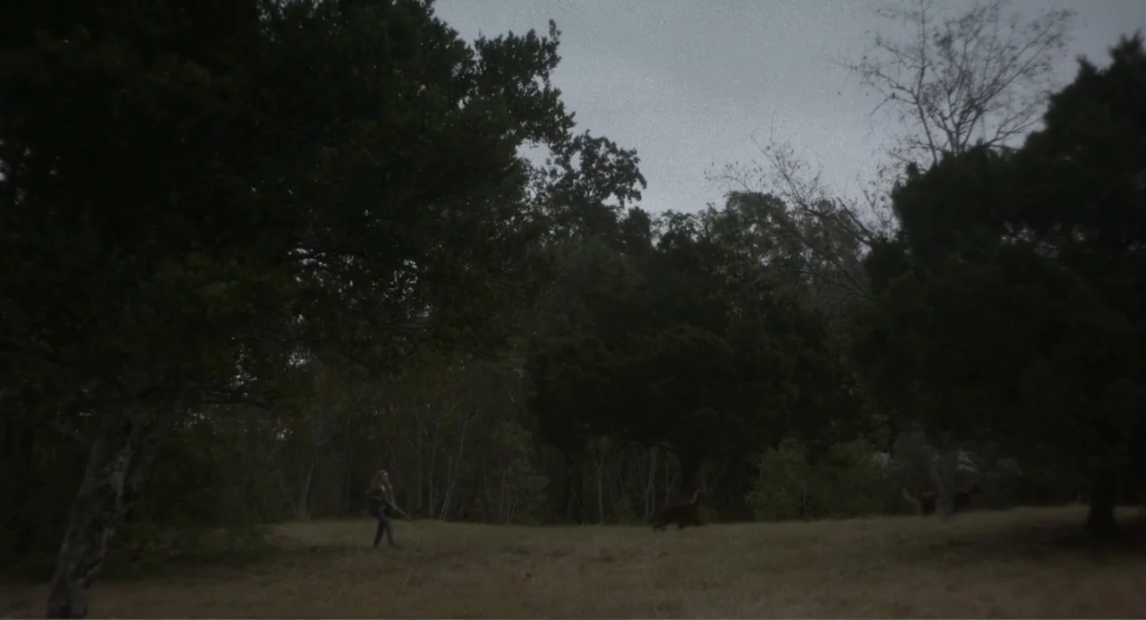 May December (2023) movie still: wide — A woman walks through a grassy, sparsely wooded meadow under a grey overcast sky. She holds a long-barreled…