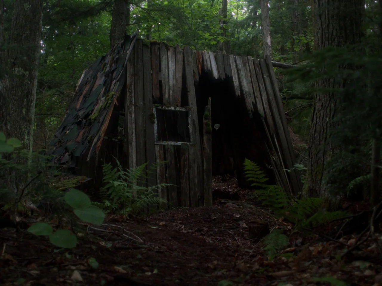 In A Violent Nature (2024) movie still: medium — A dilapidated wooden shack rests deep within a dense, shaded woodland environment. Tall pine trees…