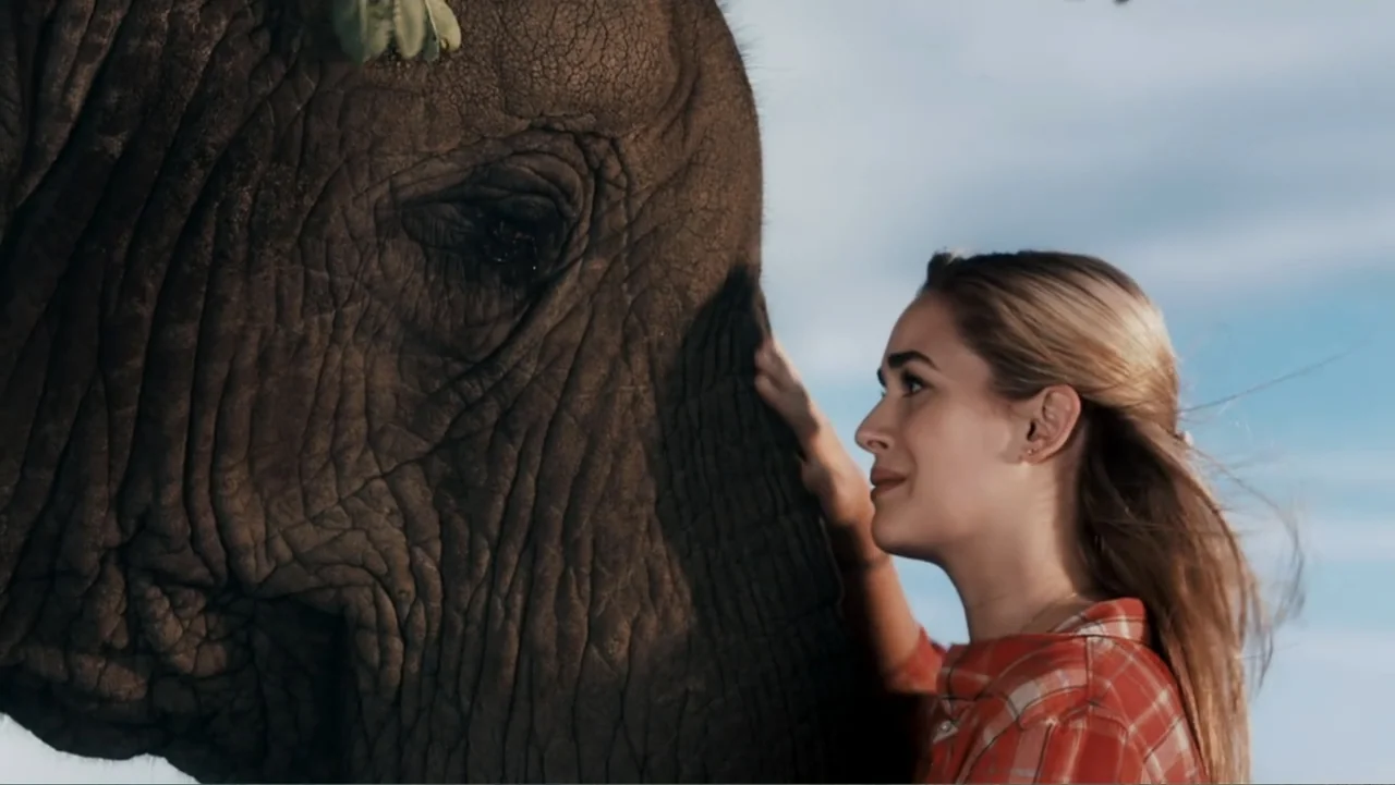 Sophie & Sheba (2010) movie still: medium — An elephant and a young woman stand together in an open grassy field. The woman reaches out to gently…