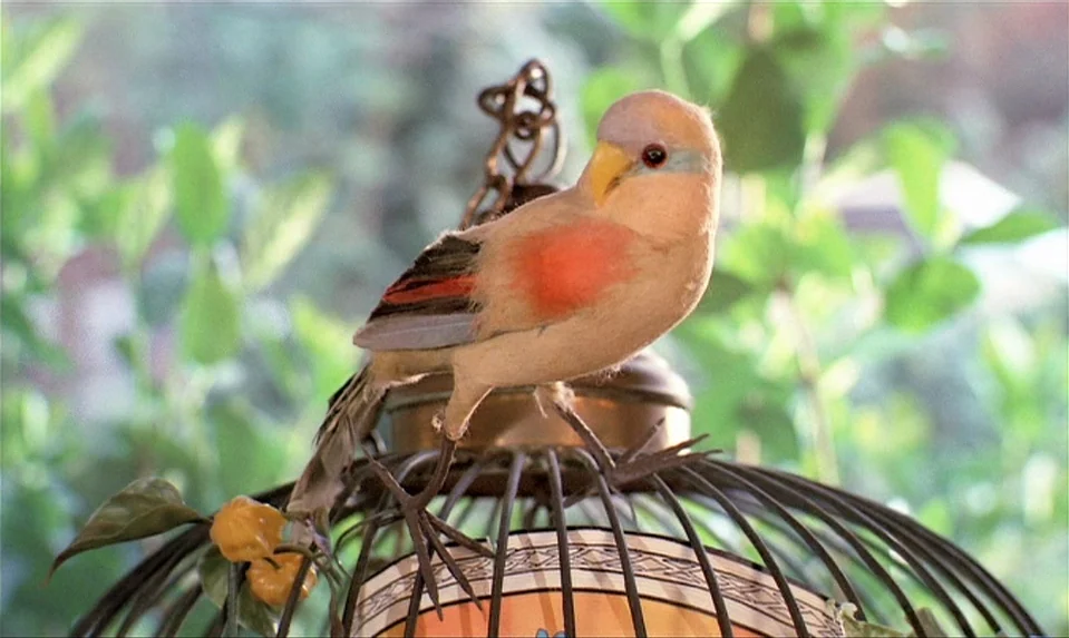 Lions Love (1969) movie still: closeup — A small decorative bird sits atop a metal cage against a blurred green background. The bird is facing right…