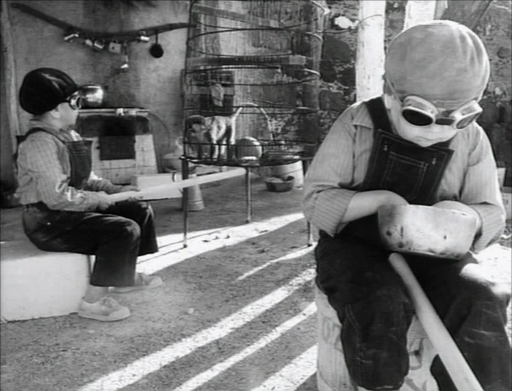 Even Dwarfs Started Small (1970) movie still: medium — A dusty outdoor farm area featuring a large wire birdcage and wooden objects. Two young boys…