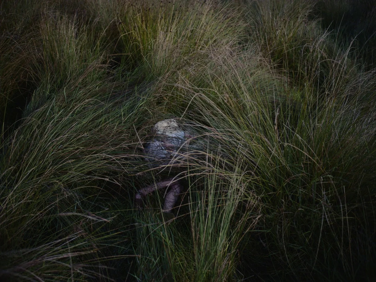 The Quiet Girl (2022) movie still: medium — A field of long, untamed grass obscures the ground level and surroundings. A small child sits crouched…