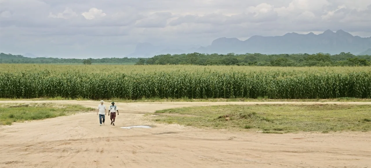 10 Billion: What's On Your Plate (2015) movie still: wide — A flat rural landscape features a vast green crop field under a cloudy sky. Two men walk…