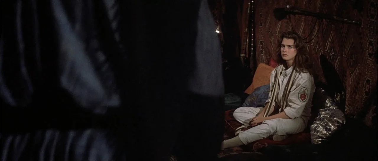Sahara (1995) movie still: medium — A dark interior space lined with ornate patterned fabric rugs and cushions on the floor. A woman in…