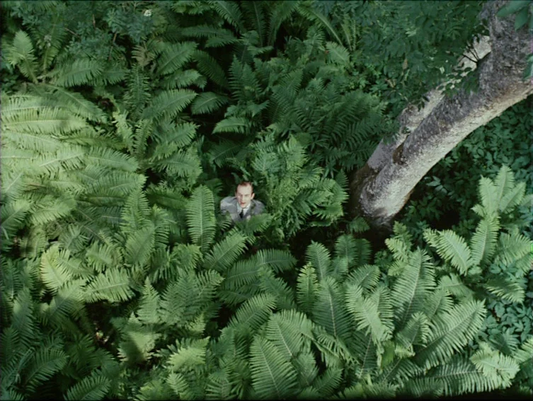 All These Women (1964) movie still: wide — A dense patch of ferns and a large tree trunk fill the frame. A lone man stands amidst the dense green…