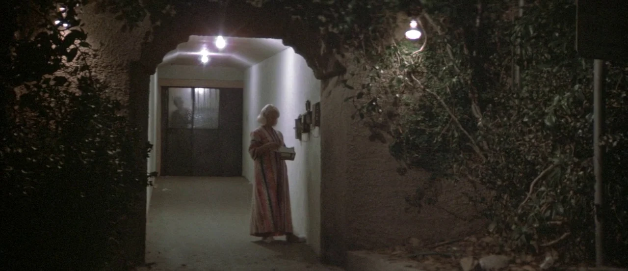 The Long Goodbye (1973) movie still: fullbody — An exterior corridor of a building features stucco walls and overhanging bushes at night. An elderly…