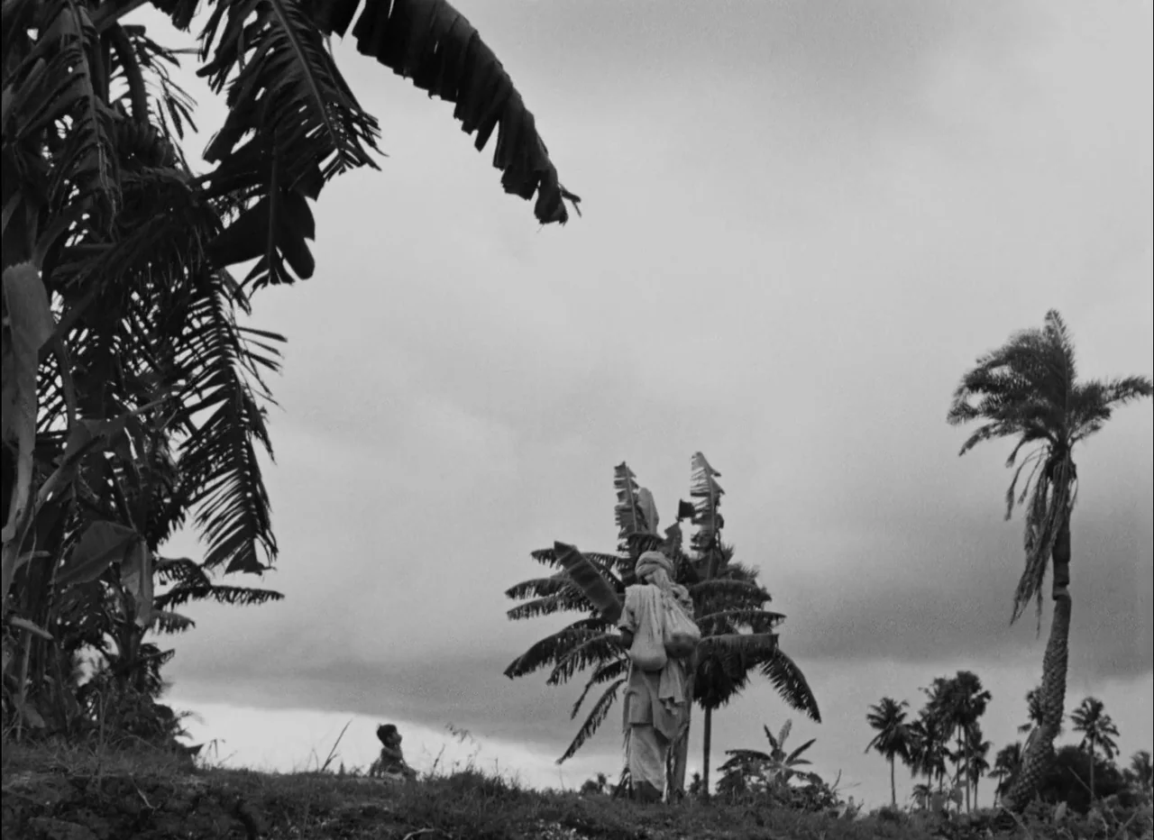 Pather Panchali (1955) movie still: wide — A rural landscape features silhouettes of palm trees against a cloudy, expansive sky. A man walks…
