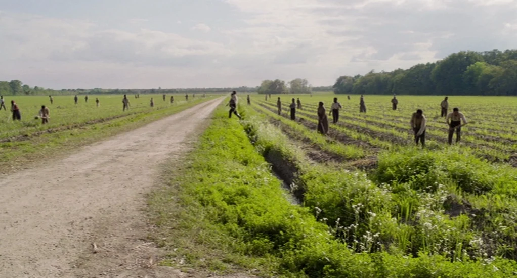 Free State of Jones (2016) movie still: wide — A vast agricultural landscape features a long dirt road cutting through rows of crops. Many laborers…