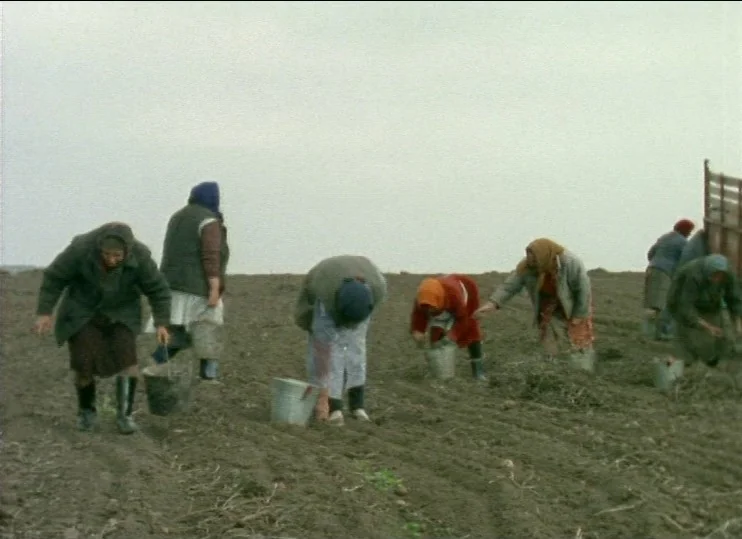 From The East (1993) movie still: wide — A vast, flat, brown dirt field stretches under an overcast, light gray sky. Several women wearing…