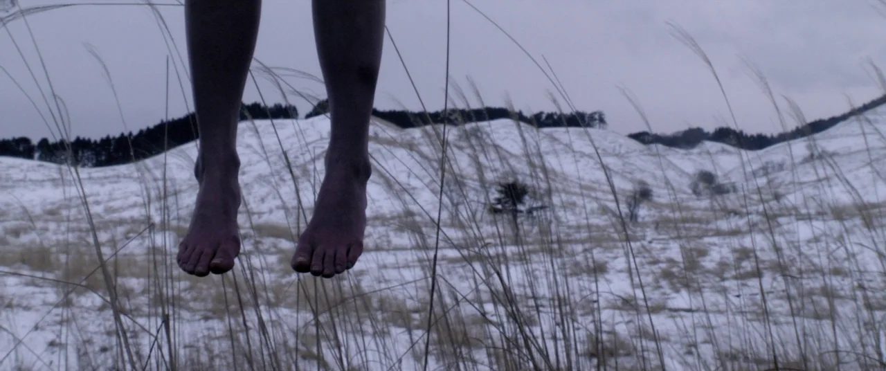 Norwegian Wood (2010) movie still: closeup — A snowy, desolate landscape stretches out under a grey, overcast sky with dry grass. The bare feet of a…