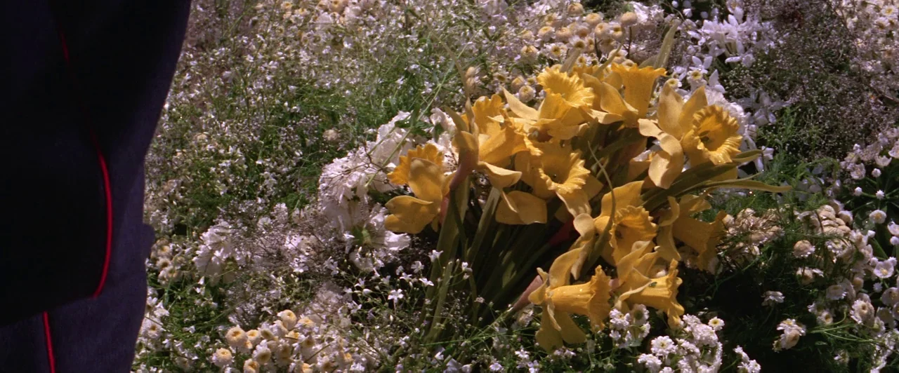 Doctor Zhivago (1965) movie still: closeup — A dense collection of yellow daffodils lies atop a carpet of small white blossoms. The edge of a dark…