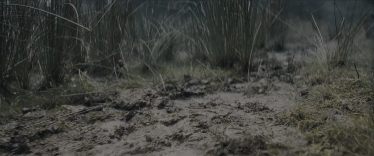 Quicksand (2023) movie still: establishing — A wet marshy area features thick mud and tall reeds under a grey sky. The ground is covered in damp…