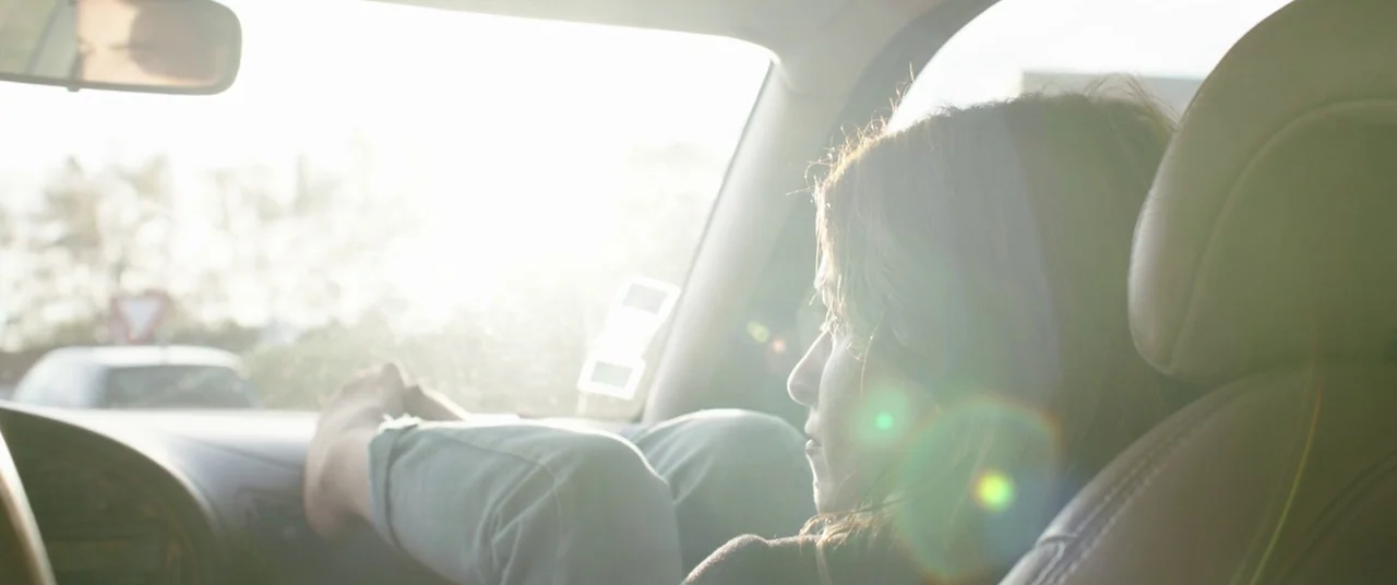 Raw (2016) movie still: medium — The interior of a moving car is bathed in bright sunlight through the glass. A person sits in the passenger seat…