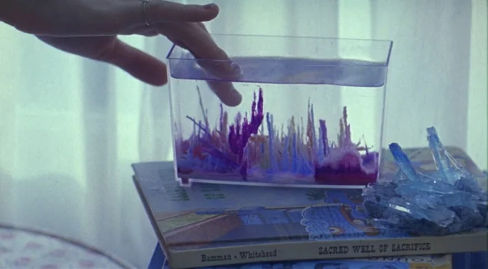 The Virgin Suicides (1999) movie still: closeup — A clear plastic container of colorful growing crystals rests on top of a book. A hand enters the…