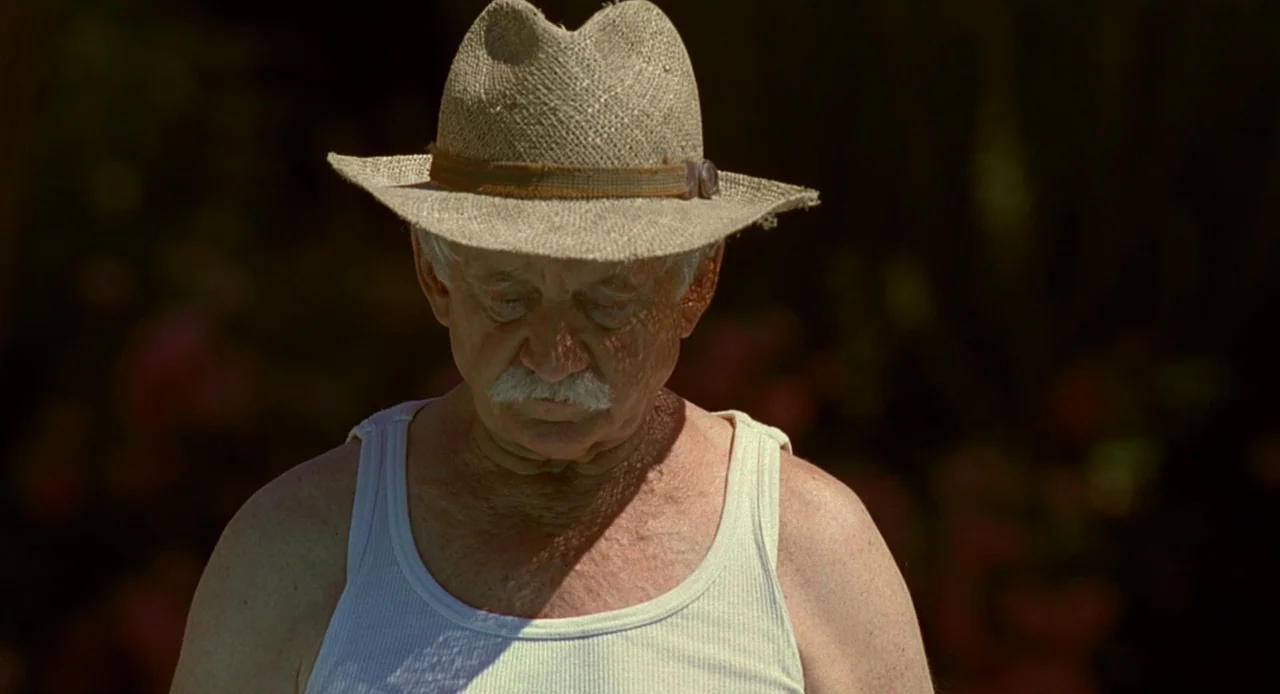 Swimming Pool (2003) movie still: medium — An elderly man stands outdoors against a dark, out-of-focus background. The man gazes downward with his…
