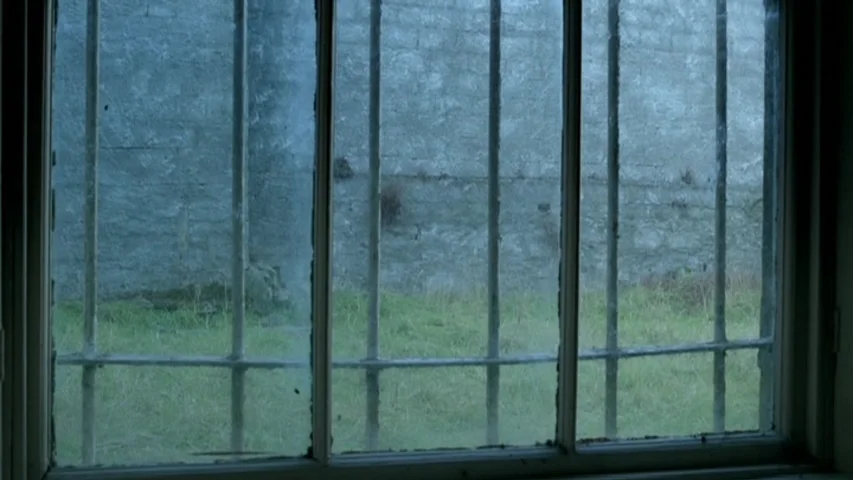 Garage (2007) movie still: establishing — A window with thick metal bars overlooks a sparse grassy yard and stone wall. The view is framed by a…