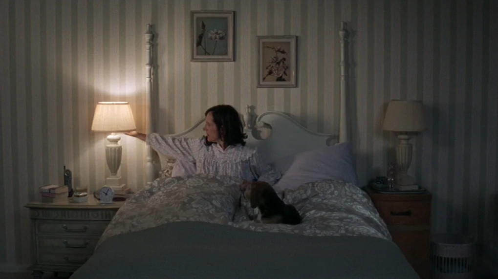 Year Of The Dog (2007) movie still: medium — A dimly lit room with striped wallpaper and a large white wooden bed frame. A woman in a floral…