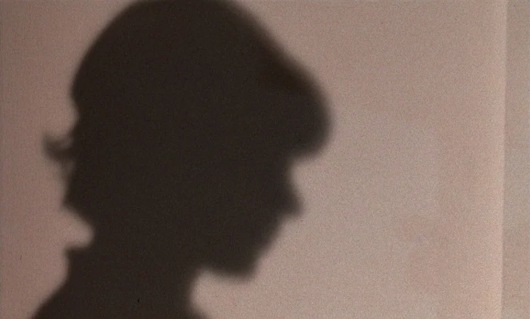 The Man Who Loved Women (1977) movie still: closeup — A dark, distinct shadow of a person's head and profile is projected onto a wall. The flat,…