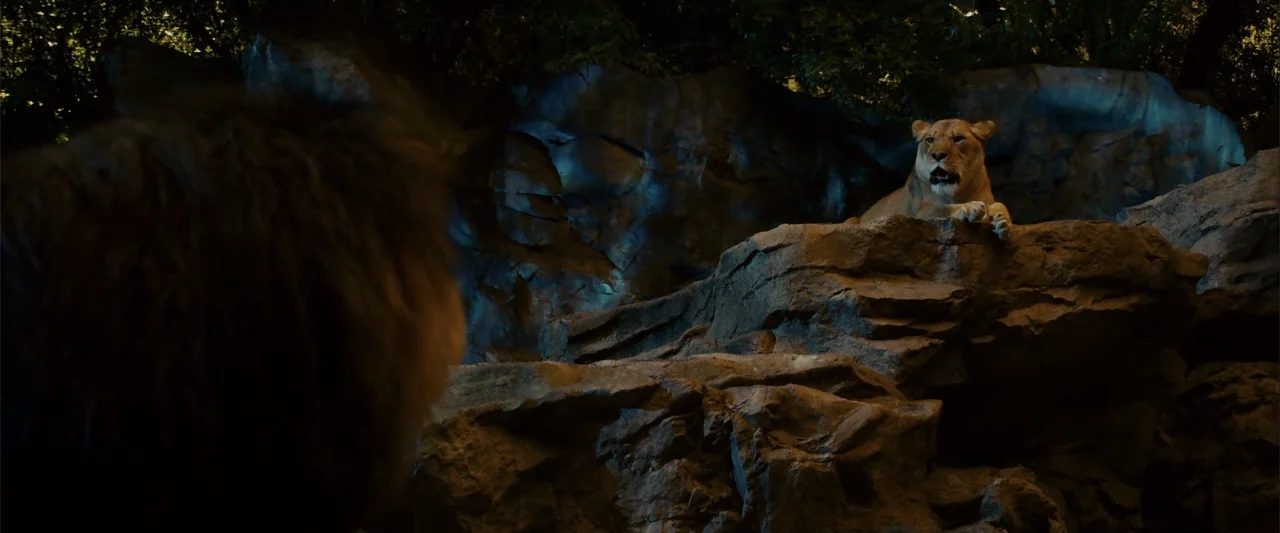 Zookeeper (2011) movie still: medium — A lioness rests upon a large stone formation within a shaded outdoor setting. The lioness looks toward…