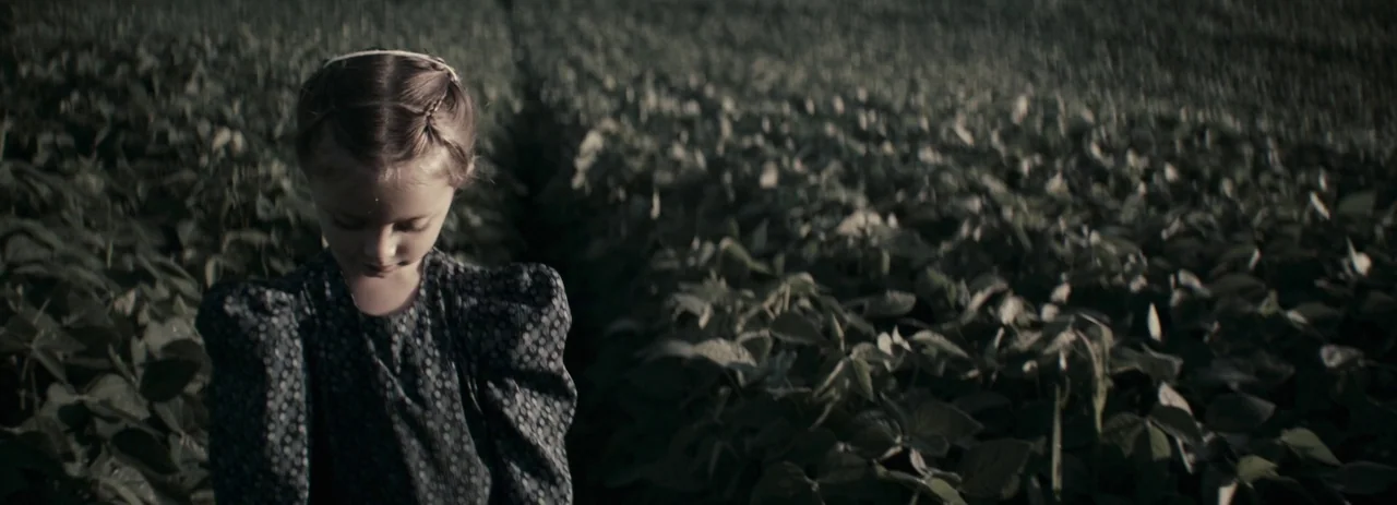 Women Talking (2022) movie still: medium — A dense green soybean field stretches to the horizon under muted lighting. A young girl in a dark dress…